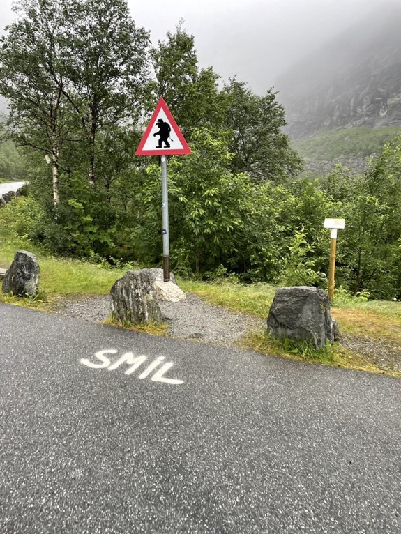 Tag 16 & 17: Batnfjordsøra – Trollstigen – Aarset